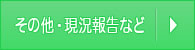 その他・現状報告など